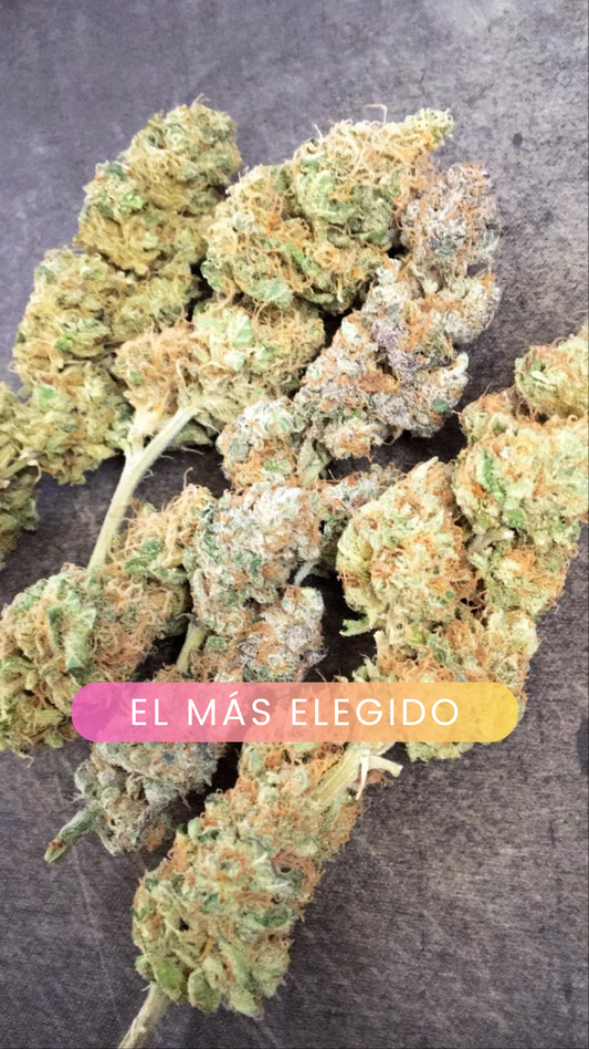 Combo "El Desconfiado" - 10 GRAMOS + REGALO